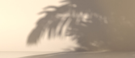 blurred shadow of palm leaves on a wall. Abstract minimal background for a product presentation. Summer and spring seasons