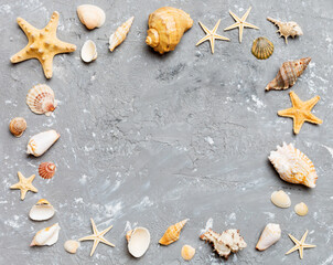 Summer time concept on colored background. Seashells from ocean shore in the shape of frame...