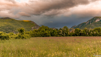 Prairie  au mois de Mai en Ari&egrave;ge