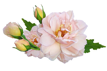 Wreath of delicate cream roses