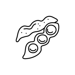 Soy bean, Soybean vector illustration. Soybean engraving isolated on white background.