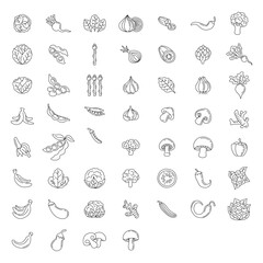 Hand drawn ink sketch. Set of various vegetables. Sketches of different food. Isolated on white