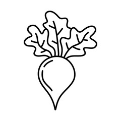 Turnip hand drawn outline doodle icon. Vector sketch illustration of healthy vegetable, raw turnip for print, web, mobile and infographics isolated on white background.