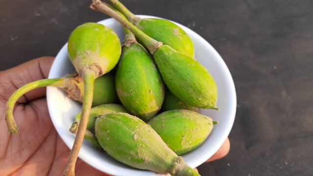 Madhuca Longifolia fruits. It is part of a traditional Indian food. Its other names&nbsp;madhuka,&nbsp;mahuwa,&nbsp;mahua,&nbsp;mahwa,&nbsp;mohulo,&nbsp;Iluppai and vippa chettu. It is found in summer season.