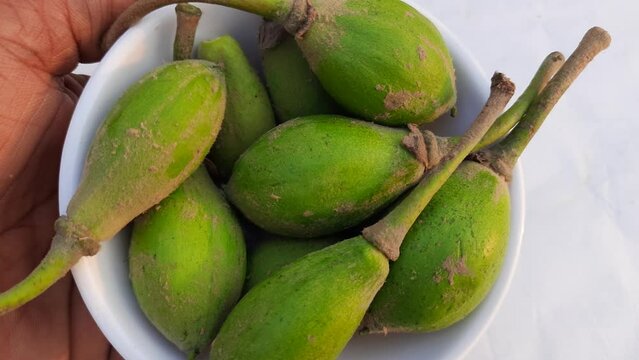 Madhuca Longifolia fruits. It is part of a traditional Indian food. Its other names&nbsp;madhuka,&nbsp;mahuwa,&nbsp;mahua,&nbsp;mahwa,&nbsp;mohulo,&nbsp;Iluppai and vippa chettu. It is found in summer season.