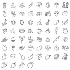 Vegetable and fruit element doodle set. fruit vector doodle illustration. Vegetarian healthy food, sketch of food for menu illustration