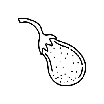 Hand drawn eggplant icon. Vector badge vegetable