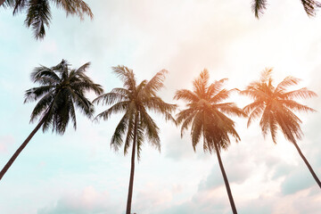 Obraz na płótnie Canvas Tropical palm coconut trees on sunset sky flare.