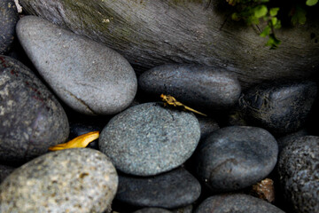 dark aged rocks with depth, round rocks. coarse, gray stone or rocks texture for background. natural theme