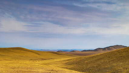 Obraz premium Mongolia / Khustai National Park / Blue sky and grassland