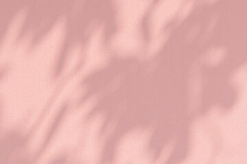 Shadow of leaves on a pink wall