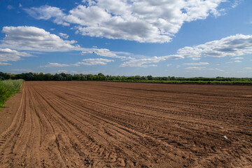 Fototapeta na wymiar Plowing field of brown ground. Blue sky, white clouds