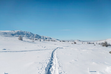 Fototapeta na wymiar Beautiful Winter Landscape . Vitosha Mountain ,Bulgaria 
