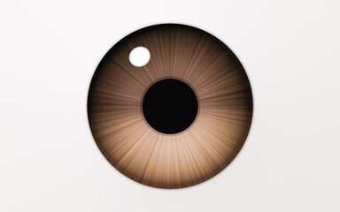 Eyeball and pupil, 3d rendering.