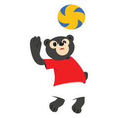 Volley bear