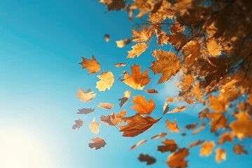  falling maples leaves, with generative ai