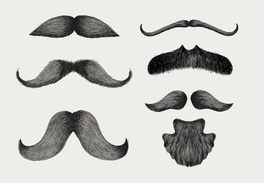 Set of Different styles of male realistic mustaches. Hand drawn Chevron, Dali, imperial, lampshade, handlebar, painter brush, classic relaxed, english, thick thin man mustaches. Vector illustration.