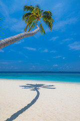 Travel beach concept. Untouched white sand calm sea bay sunny blue sky. Exotic paradise,...