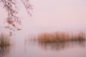 Boires / In the midst