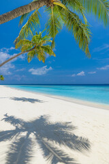 Travel beach concept. Untouched white sand calm sea bay sunny blue sky. Exotic paradise, Mediterranean tropics. Green palm trees, carefree beach landscape. Beautiful summer nature vacation island 