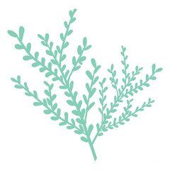 Illustration branch flowers hand drawn