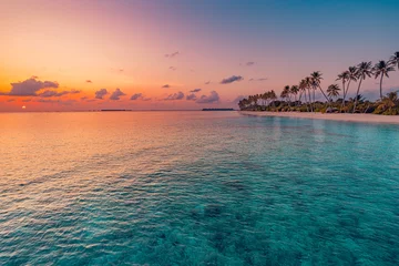 Poster Amazing travel landscape. Beautiful panoramic sunset tropical paradise beach. Tranquil summer vacation or holiday. Tropical sunset beach seaside palm calm peace panorama exotic nature colorful sea sky © icemanphotos