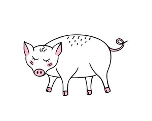 Pig outline, cartoon pig, farm animal. Vector Illustration for printing, backgrounds, covers and packaging. Image can be used for greeting cards, posters and stickers. Isolated on white background.