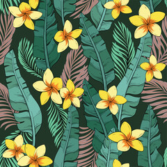 pattern of banana leaves and plumeria