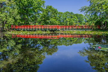 赤橋と睡蓮