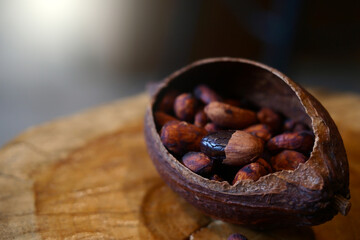Cocoa Beans for nature background.