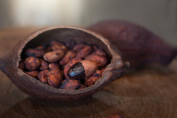 Cocoa Beans for nature background.