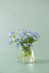 Still life with fresh flowers in vase
