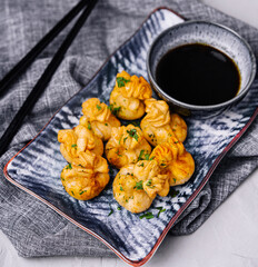 Fried dumplings with pork and herbs on plate with soy sauce