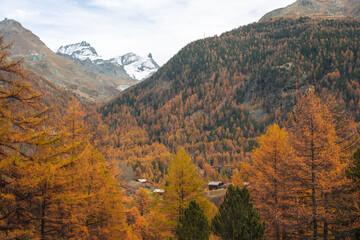 Autumn Alpine View with houses in between the trees
