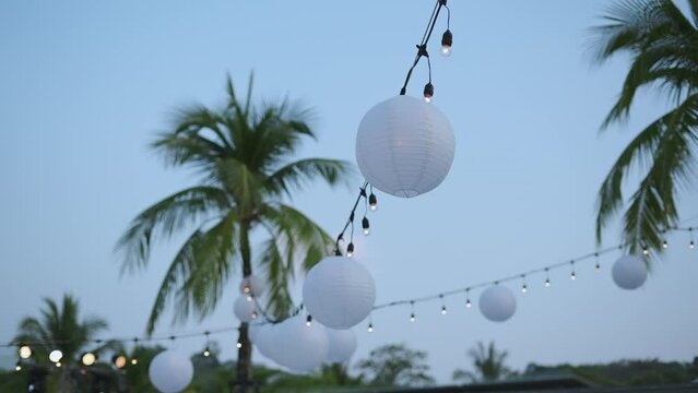 Outdoor event. string lights hanging on tree in the garden at night time