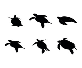 Collection of black silhouettes turtles