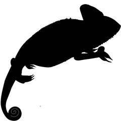 chameleon silhouette