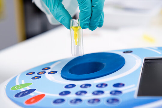 Put the cuvette into the spectrophotometer. DNA and microbiological analysis. 