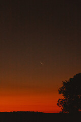 landscape of the reddish sky at dusk