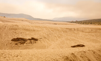 Sand dune desert landscape in Morocco
