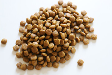 ドッグフード　犬の餌