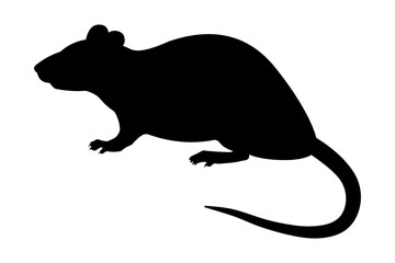 Black silhouette Rat (Rattus norvegicus)