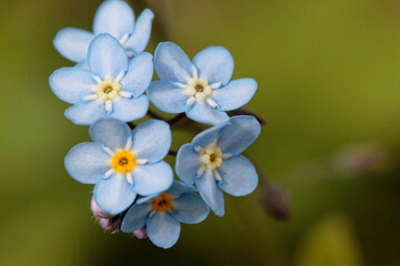 concours prairie vivante