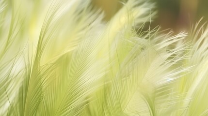 Feather grass background. Beautiful pale green yellow abstract background. Generative AI.
