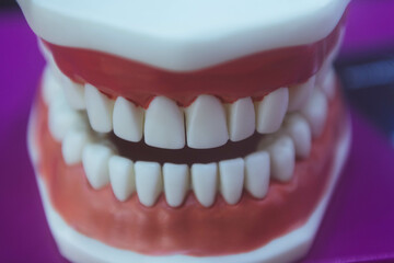 dentadura
dentista
odontologia
odontologo
sonrisa
dientes
boca