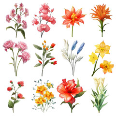 summer flower clip art realistic assortment simple