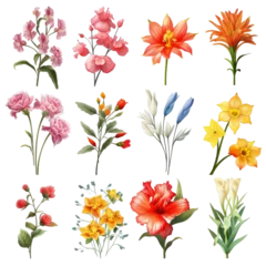  summer flower clip art realistic assortment simple © Visual Odyssey
