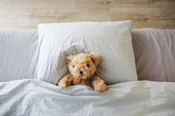 Lonely Teddy Bear lying on the bed