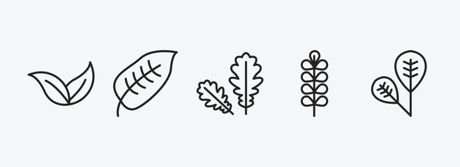 nature outline icons set. nature icons such as apricot leaf leaf, ovate, pedunculate, pecan leaf, obovate vector. can be used web and mobile.