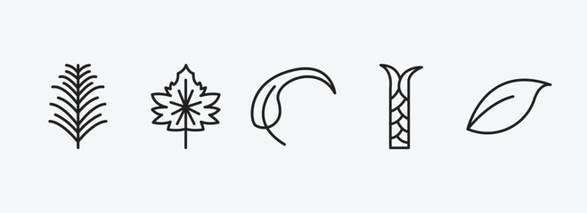 nature outline icons set. nature icons such as yew leaf, hawthorn leaf, falcate, escuamiforme, orange leaf vector. can be used web and mobile.